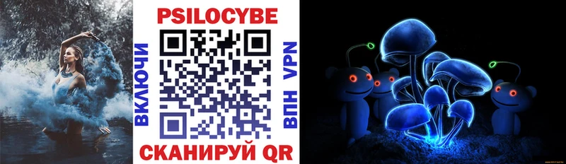 ОМГ ОМГ зеркало Борзя Псилоцибиновые грибы мицелий